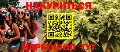 apvp Канаш