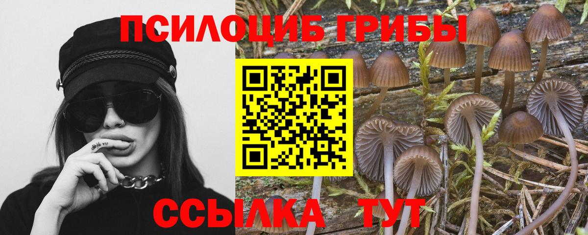 Псилоцибиновые грибы прущие грибы Краснокаменск